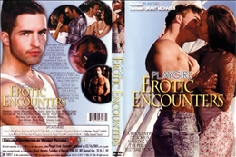 Playgirl 3 Erotic Encounters