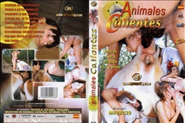 Animales calientes