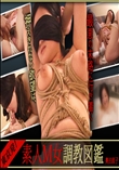 素人M女 調教図鑑 奥田直子