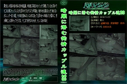 暗闇に潜む発情カップル達23