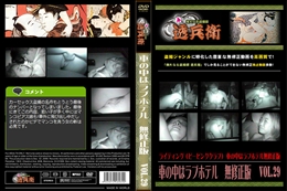 車の中はラブホテル　無修正版　 Vol.29