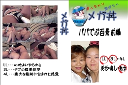 ★ ババでぶ百景 前編 　