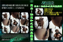 蔵出!秘蔵和式便所盗撮13