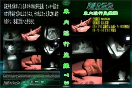 車内淫行盗撮73