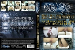 悪質和式トイレ盗撮 トイレの女神様 Premium第2弾 vol,02