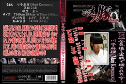 合気道〜実戦で廻された女〜