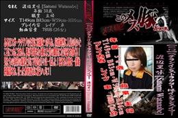 ベテランインストラクターはインランスイマー 1