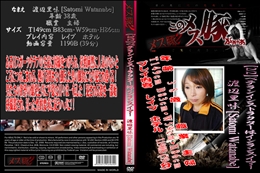 ベテランインストラクターはインランスイマー 2