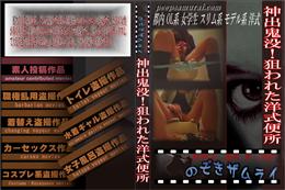 神出鬼没!狙われた洋式便所