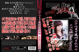 ホテルまで尾行された女