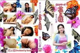 素人シリーズ 花と蝶 849