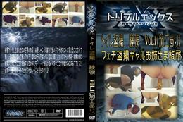 トイレ盗撮 検便 Vol.1 (加工あり)