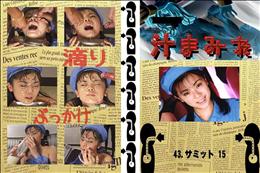 ★ 43.　サミット 15 　