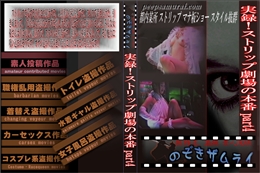 実録!ストリップ劇場の本番 part4
