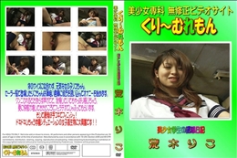 美少女学生の誘惑日記