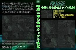 暗闇に潜む発情カップル達 34