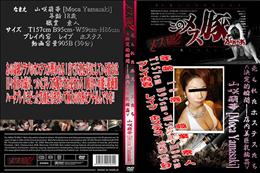 メス豚2 売られたホステスたち <決定的瞬間!!店内美巨乳輪姦> [山咲萌華]