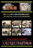 ラブホテルはバブルの香り Vol.56 [-]