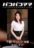 パコパコママ 不倫ドキュメント 後編 [水谷しずか32歳]