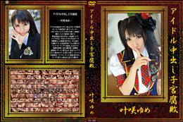 アイドル中出し子宮腐敗 [叶咲ゆめ]