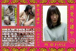 餌食珍道中 762 [持田わかば]