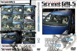 StreetGALS 防犯カメラに映った驚愕の卑猥映像 ビル駐車場編 [-]