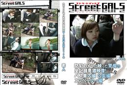 StreetGALS 防犯カメラに映った驚愕の全記録卑猥映像!バス車内編 公園編 エレベーター編 [-]