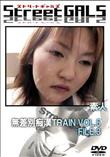 StreetGALS 無差別痴漢TRAIN VOL.5 FILE.3 [-]