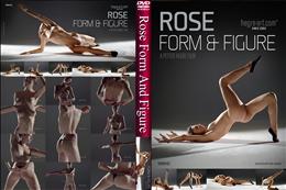 Rose Form And Figure [-]