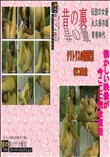 ★　クリトリスの勃起状況 　