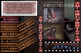 実録!所構わず欲情するサル達