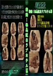隠れ見vol.331嘘の水着オーディション