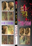 〜122号室〜ラブホテルの中 　