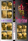 〜127号室〜ラブホテルの中 　