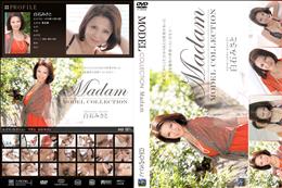 Model Collection Madam [白石みさと]