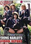 YOUNG HARLOTS SC-HOOL REPORT [-]