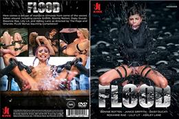 Flood