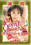 【極秘流出】 中山ふみか リメイク Disc-2