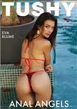 Anal Angels Vol. 11